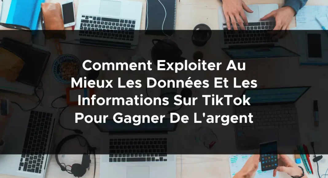 1336-comment-exploiter-au-mieux-les-donnees-et-les-informations-sur-tiktok-pour-gagner-de-largent