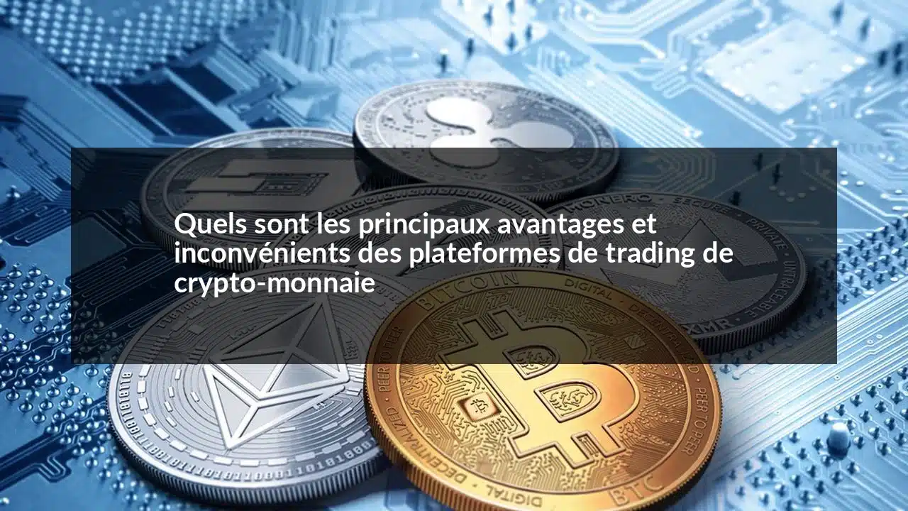 Quels Sont Les Principaux Avantages Et Inconv nients Des Plateformes De 
