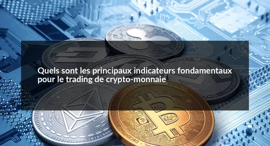 Quels_sont_les_principaux_indicateurs_fondamentaux_pour_le_trading_de_crypto_monnaie_1679499036.webp