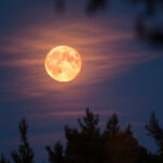 La Super Lune du Castor