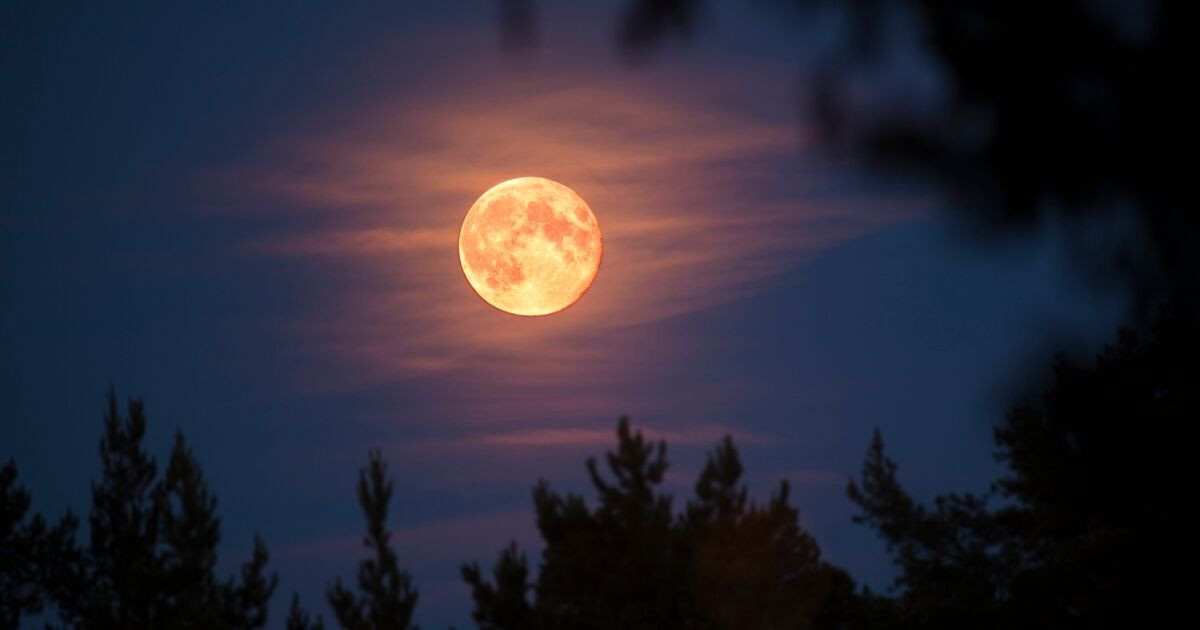 La Super Lune du Castor