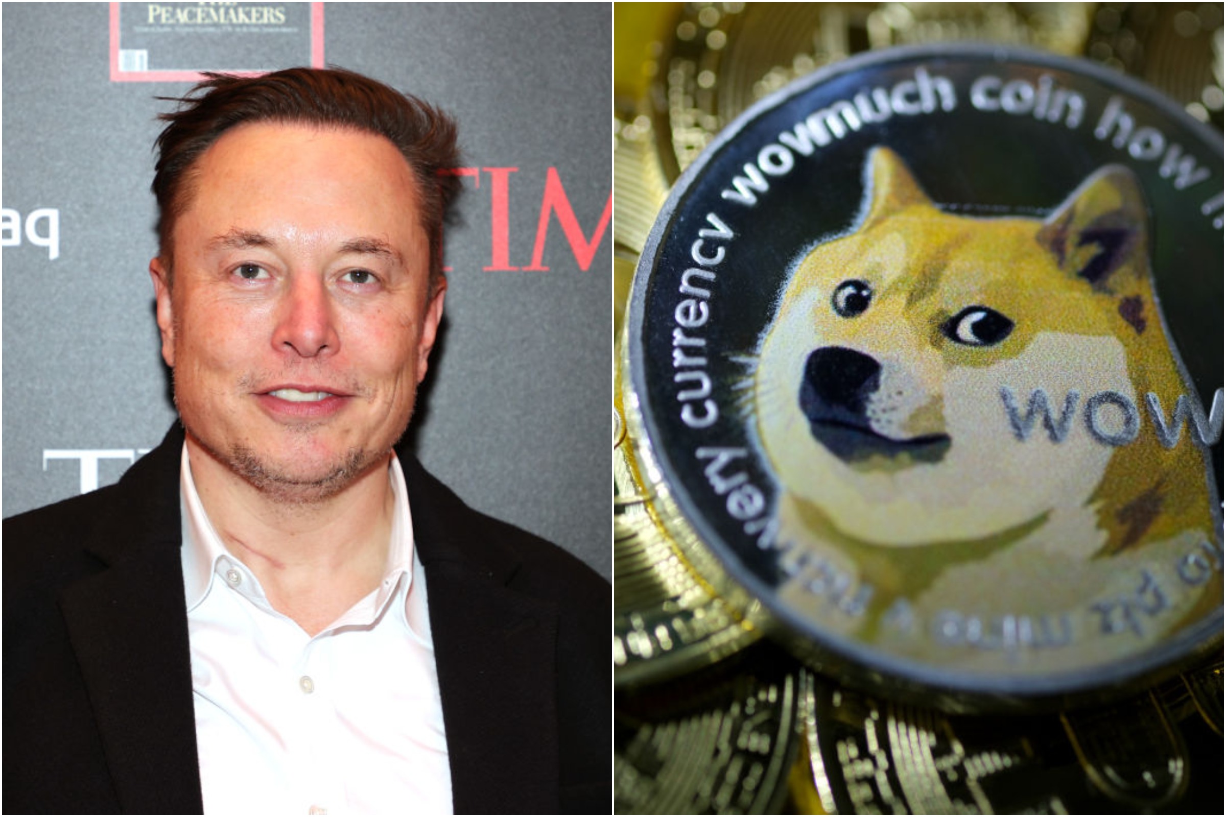 découvrez l'impact de dogecoin, la cryptomonnaie tendance, et le rôle influent d'elon musk dans son ascension. plongez dans l'univers fascinant des mèmes et de la finance numérique, où humour et investissement se rencontrent.