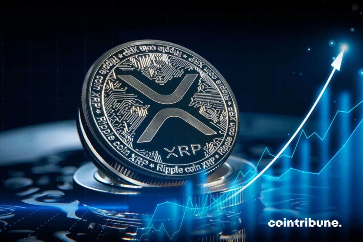 découvrez comment l'optimisme autour de xrp et dogecoin transforment le paysage des cryptomonnaies, attirant les investisseurs et suscitant l'enthousiasme pour l'avenir de ces actifs numériques.