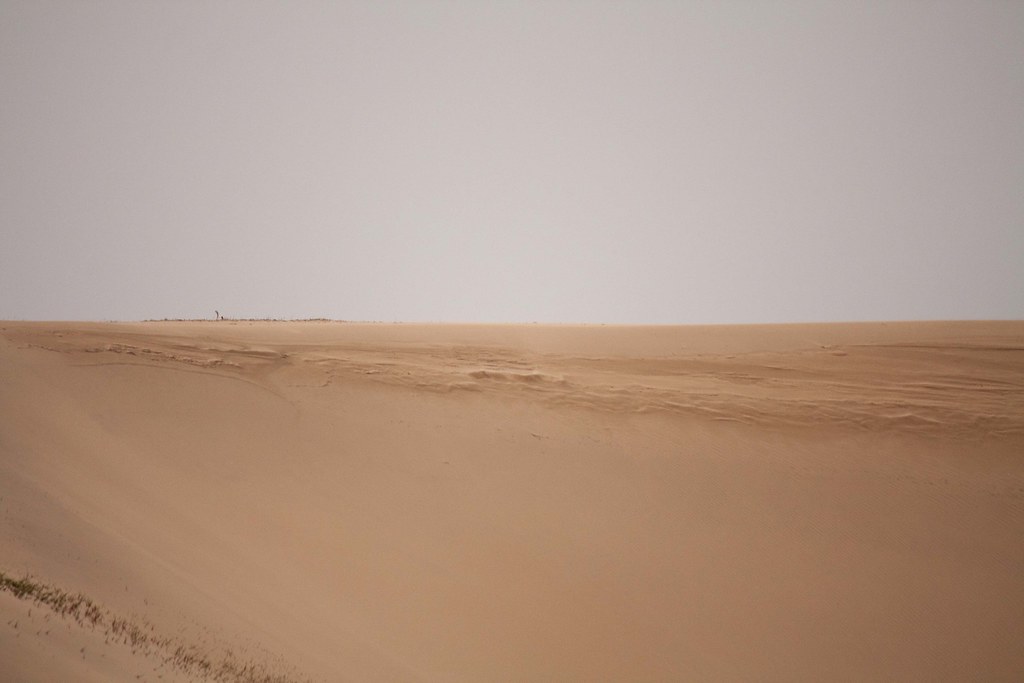 Dunes de sable dans un desert evoquant la planete Arrakis de Dune Awakening