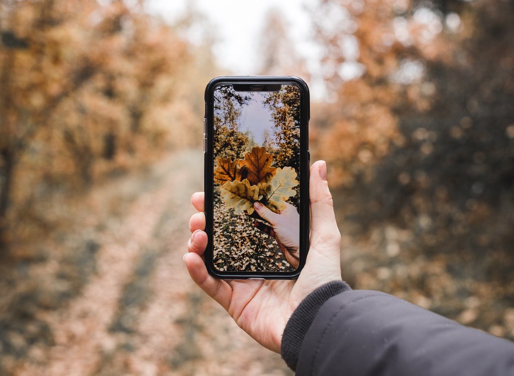 Smartphones haut de gamme posés face arrière montrant leurs modules photo